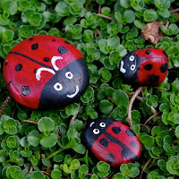 rock lady bugs