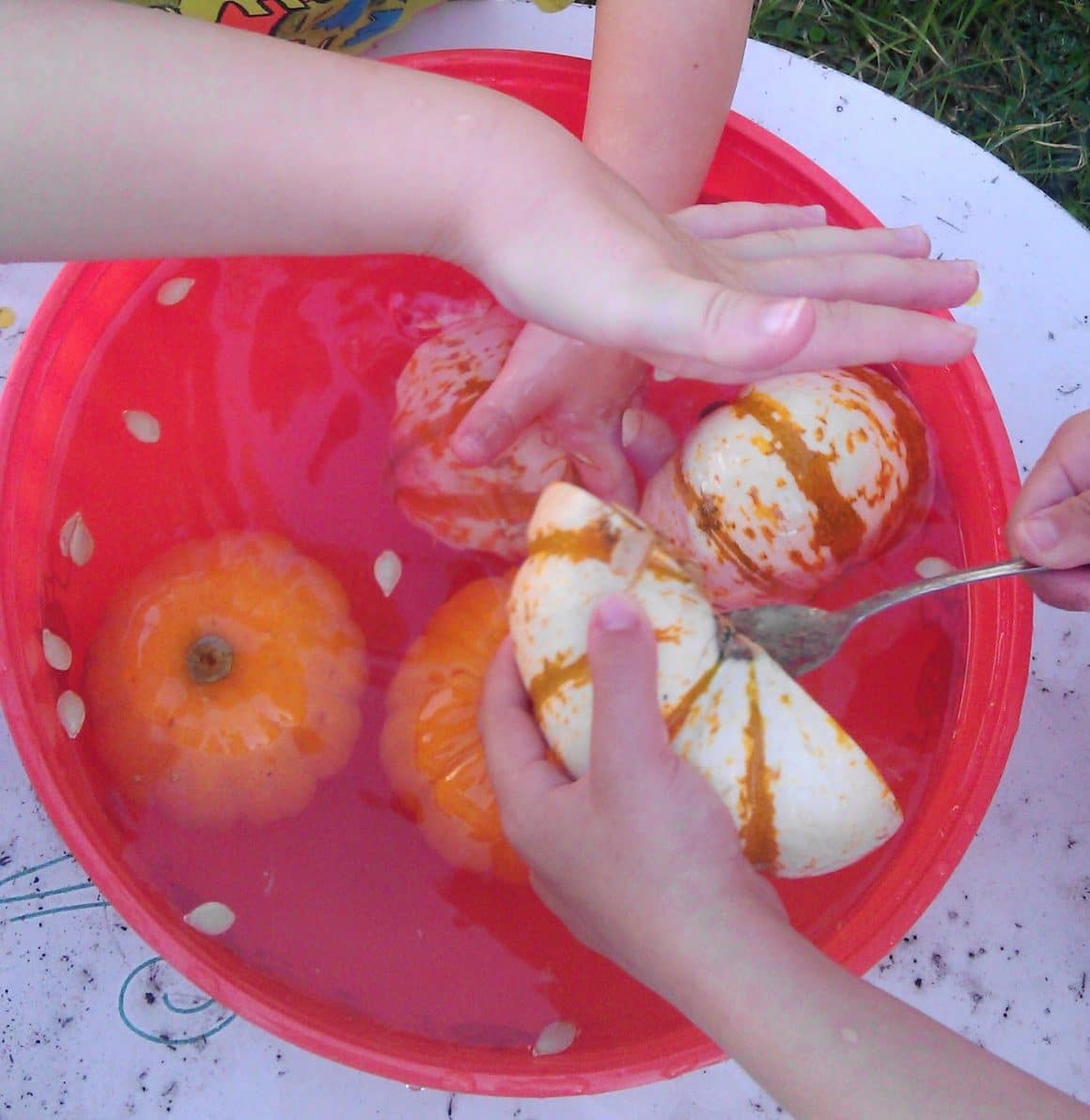 PHYSICS pumpkin experiment