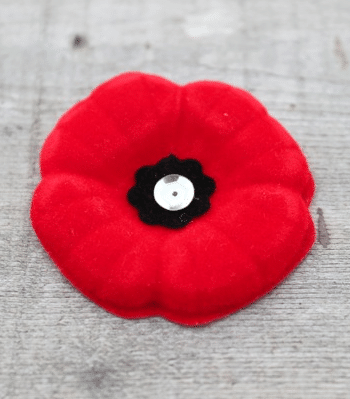 magnetic pin free poppy for kids