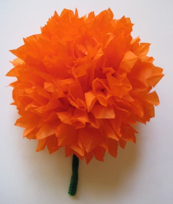 Tissue-paper-marigolds